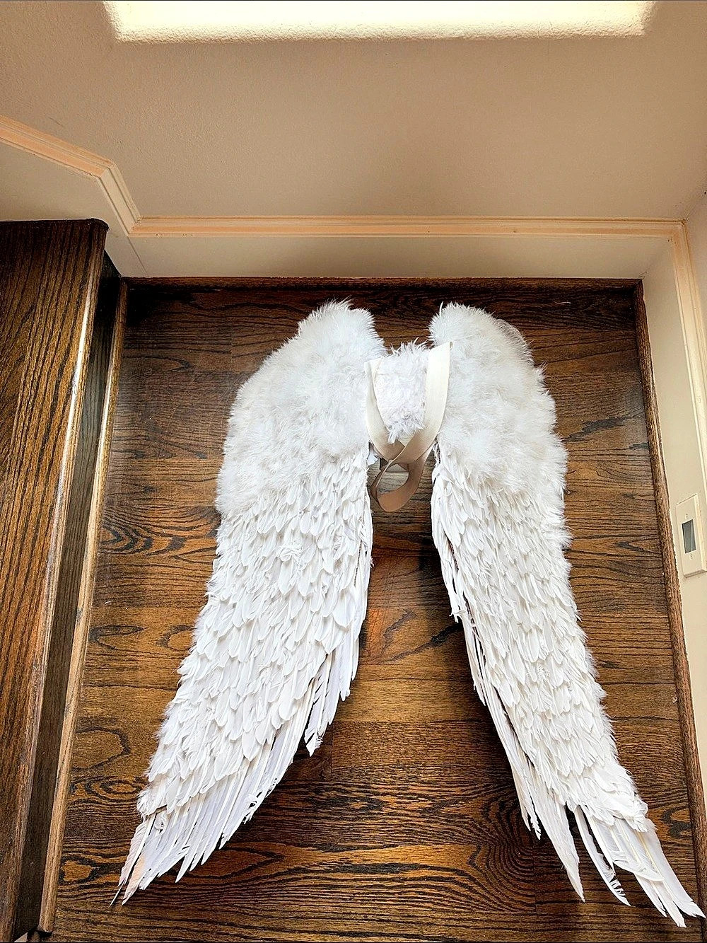 Halloween White Feather Angel Wings